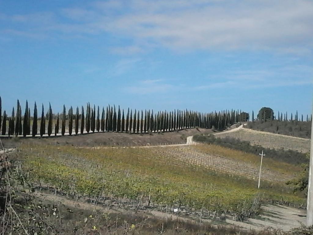 Cisterna Nel Borgo Hotell Castiglione dʼOrcia Eksteriør bilde